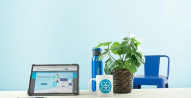 a laptop computer sitting on top of a table next to a potted plant